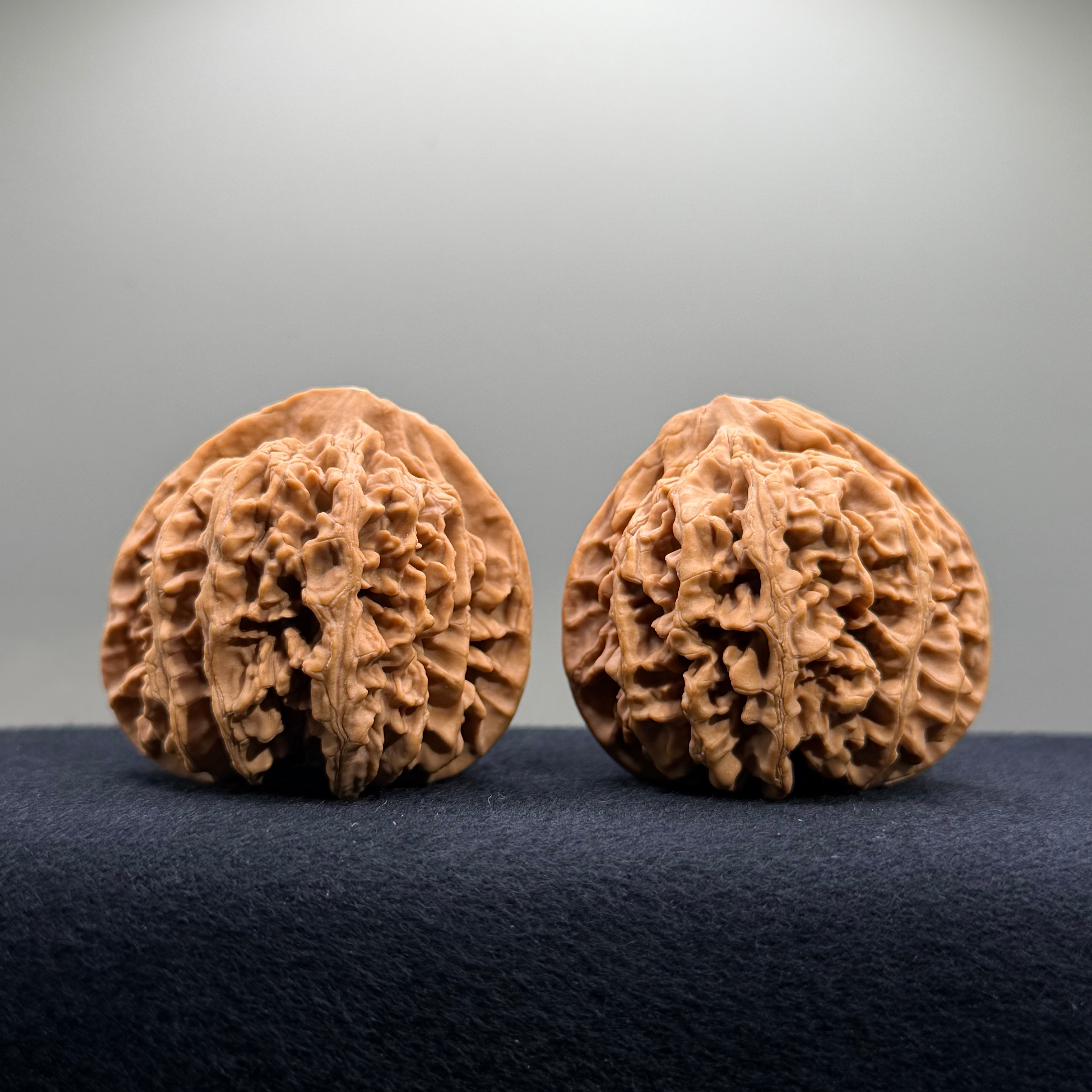 Champion Crown Wenwan Walnut · 48.6/49.1mm · Natural · Select Ritual