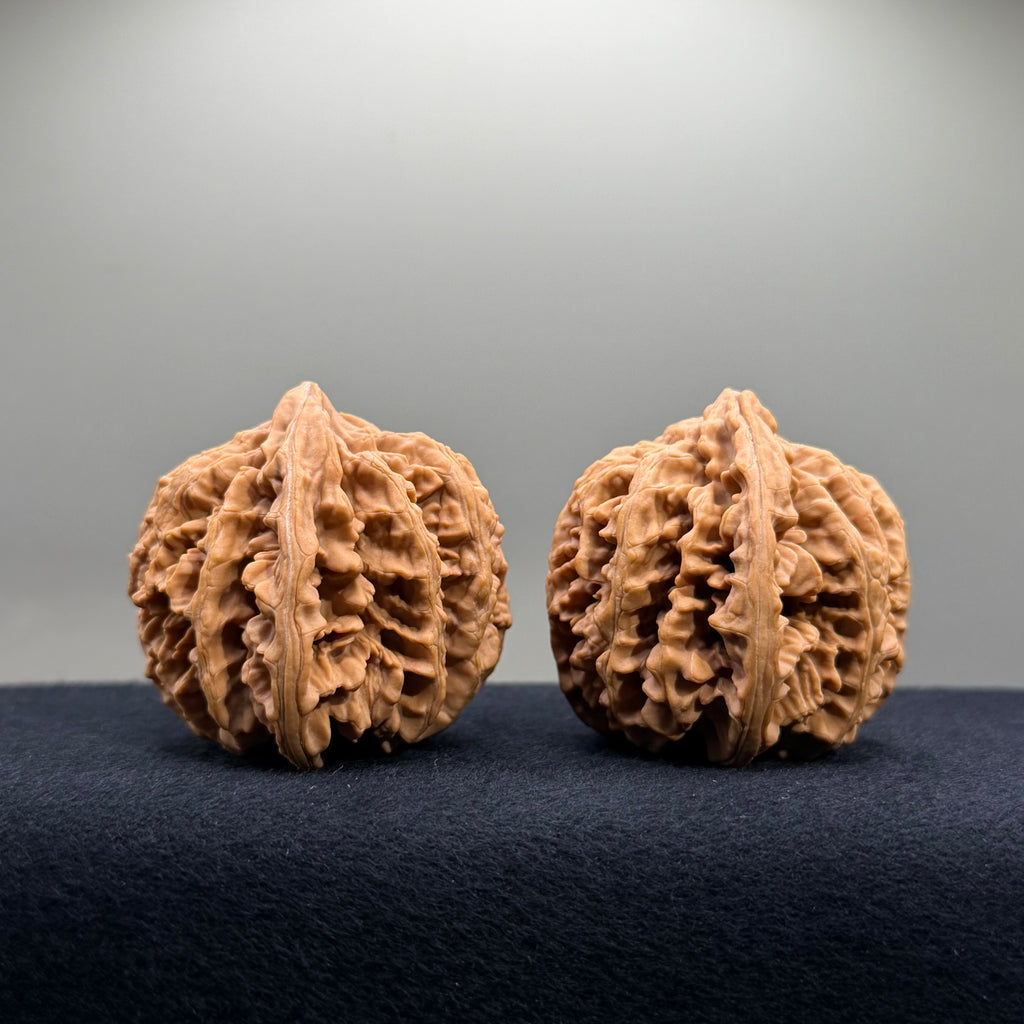 Champion Crown Wenwan Walnut · 48.6/49.1mm · Natural · Select Ritual