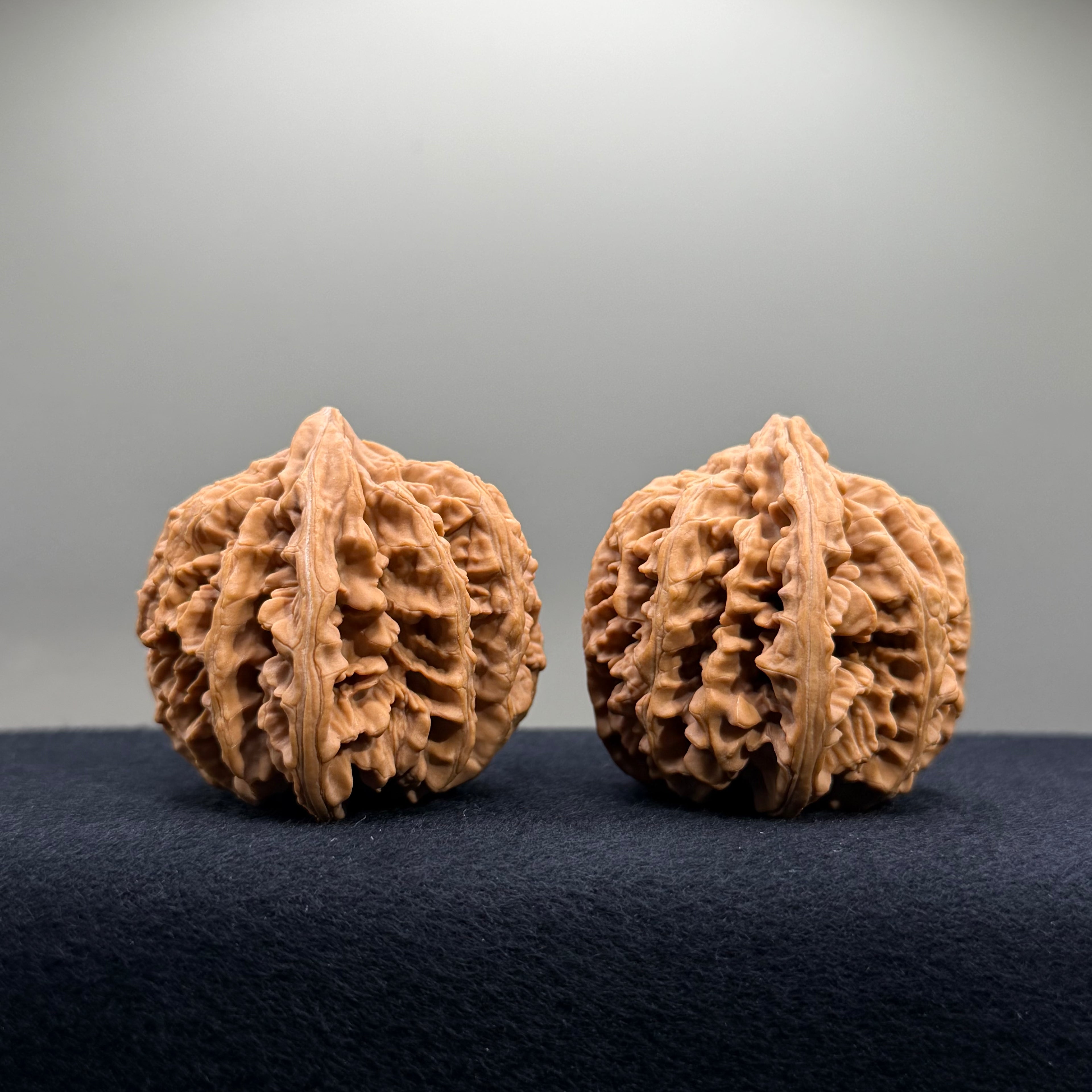 Champion Crown Wenwan Walnut · 48.6/49.1mm · Natural · Select Ritual