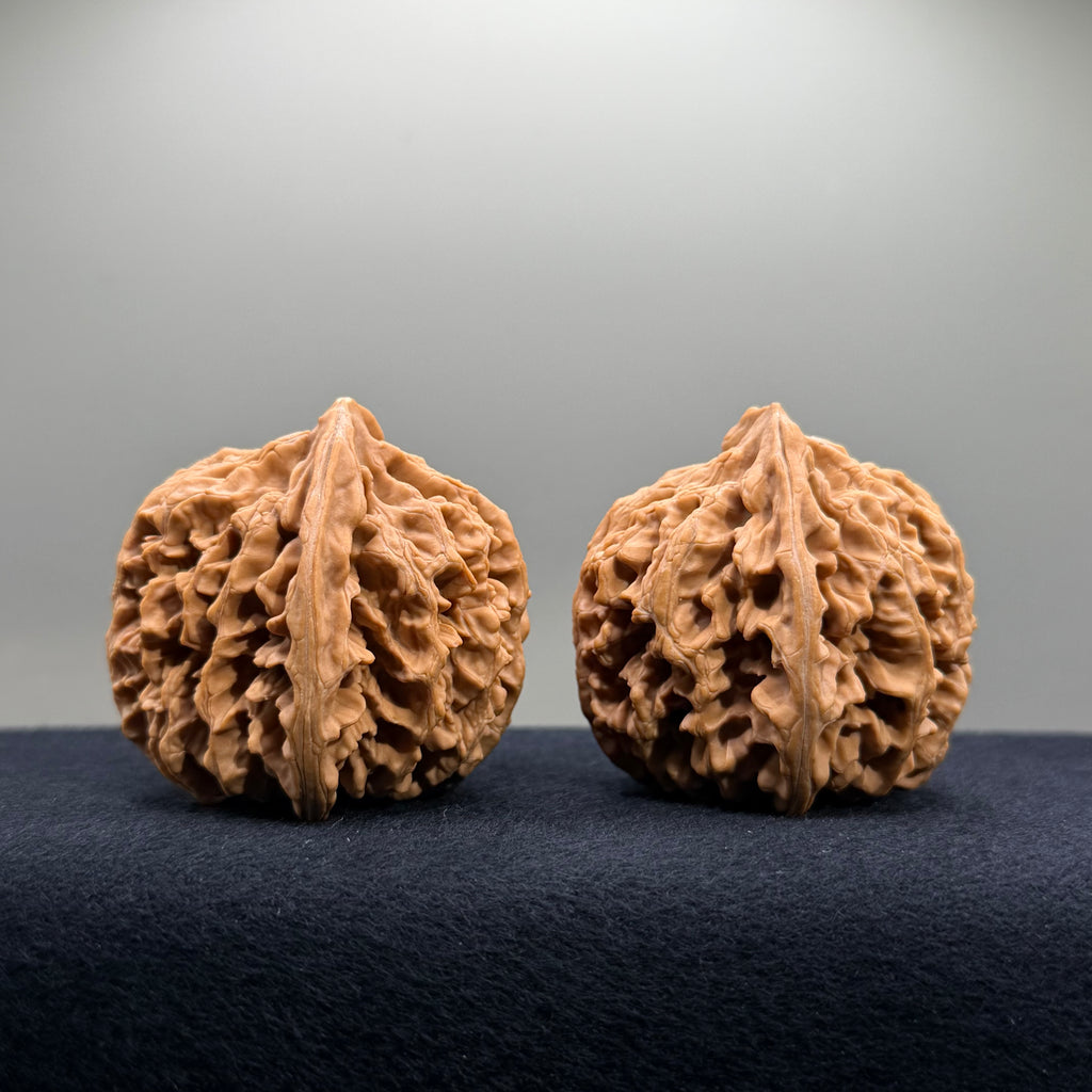 Champion Crown Wenwan Walnut · 48.6/49.1mm · Natural · Select Ritual