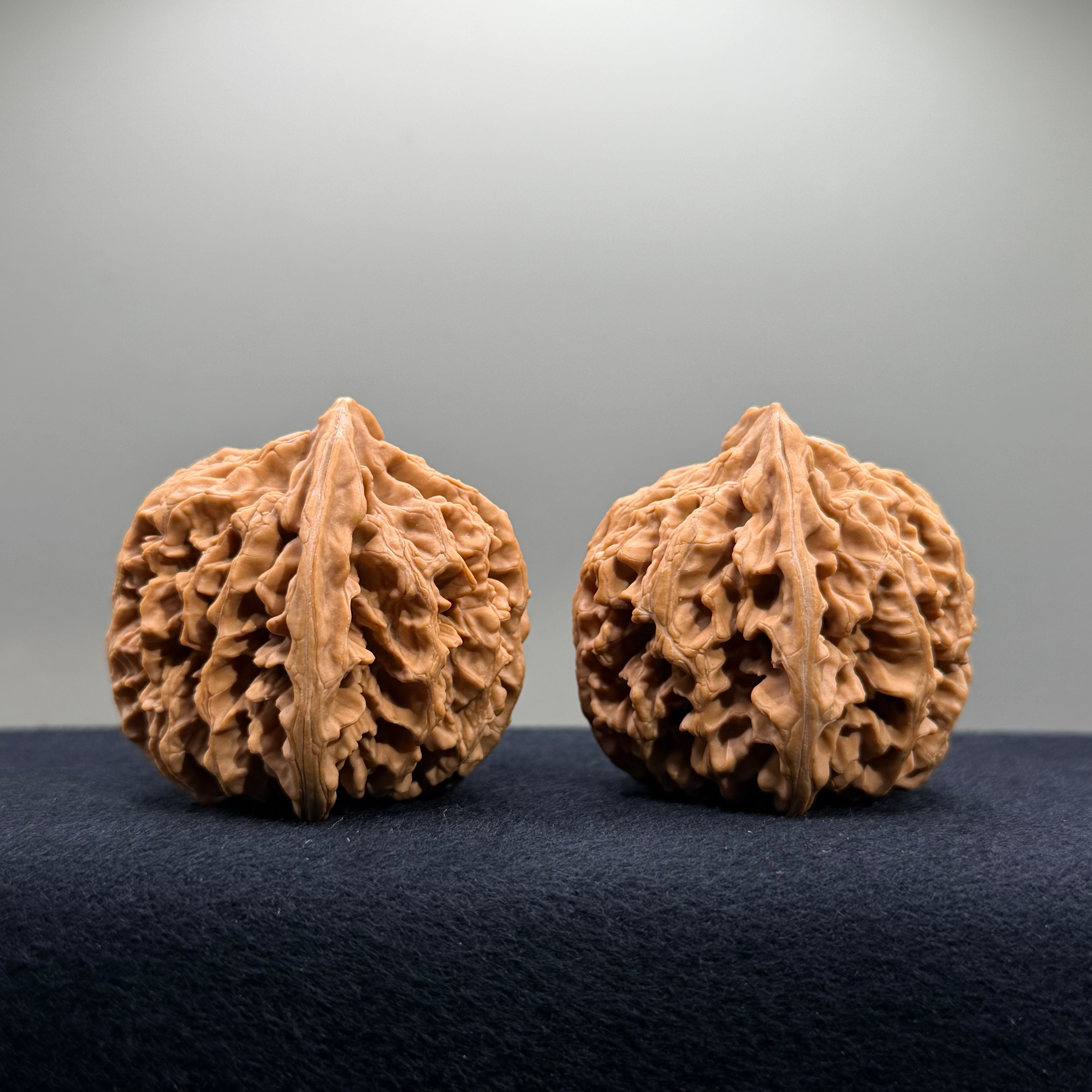 Champion Crown Wenwan Walnut · 48.6/49.1mm · Natural · Select Ritual