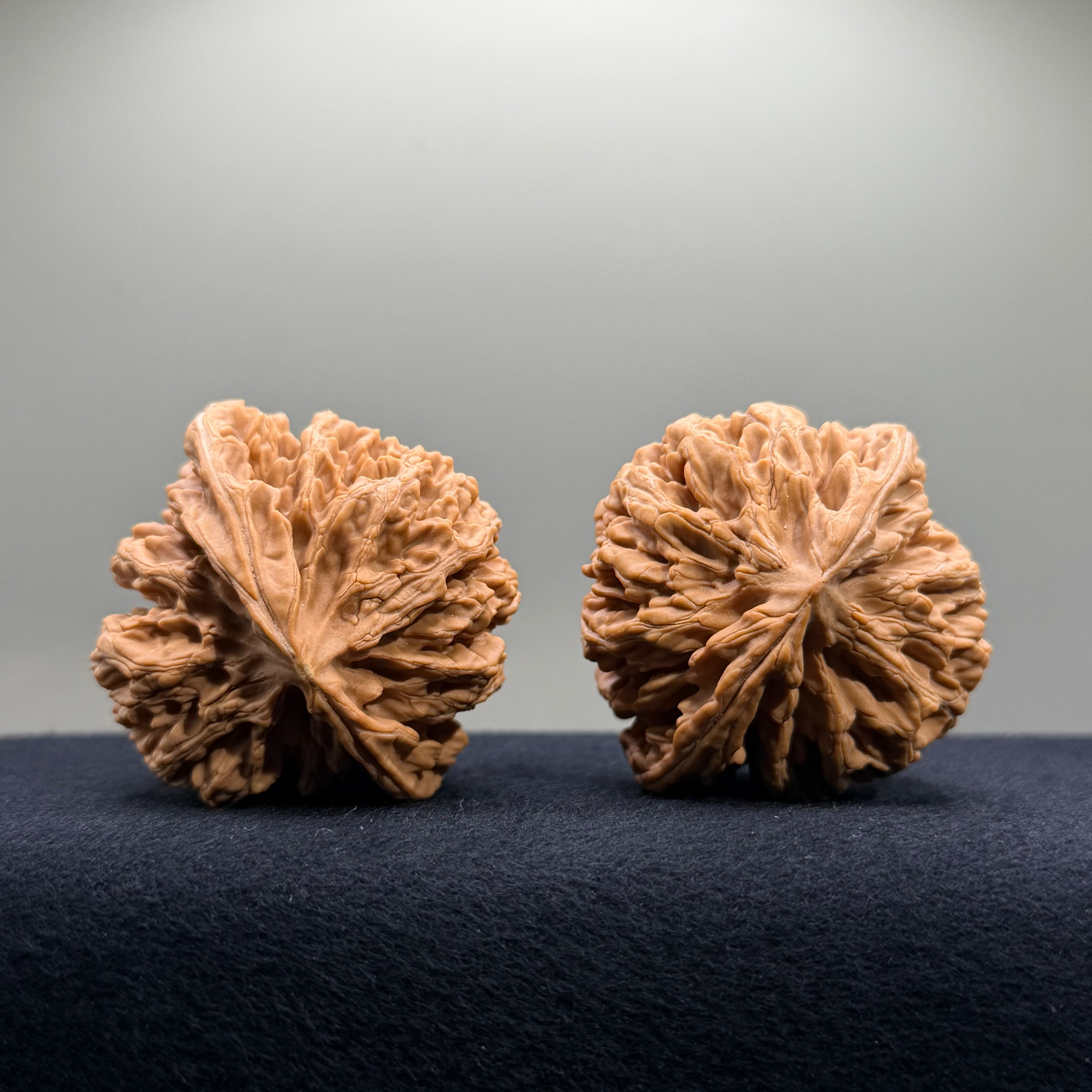 Champion Crown Wenwan Walnut · 48.6/49.1mm · Natural · Select Ritual