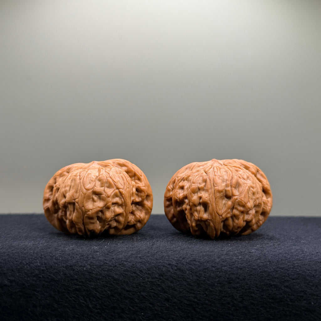 War Drum Wenwan Walnut · 39.9/40.2mm · Natural · Premium Ritual