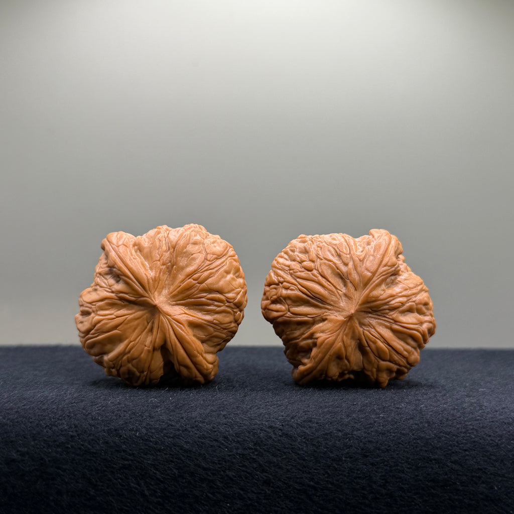 War Drum Wenwan Walnut · 39.9/40.2mm · Natural · Premium Ritual