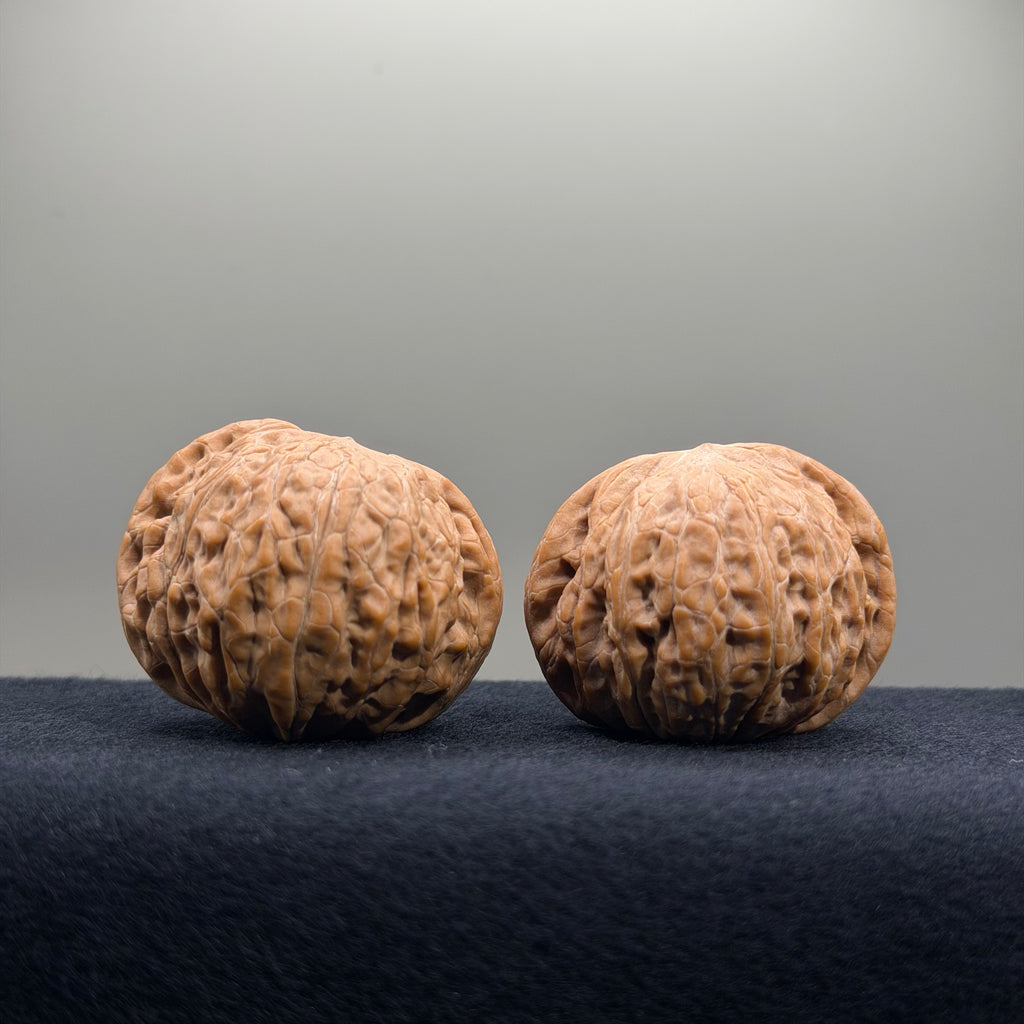 Iron Hammer Wenwan Walnut · 40.7/40.8mm · Natural · Premium Ritual