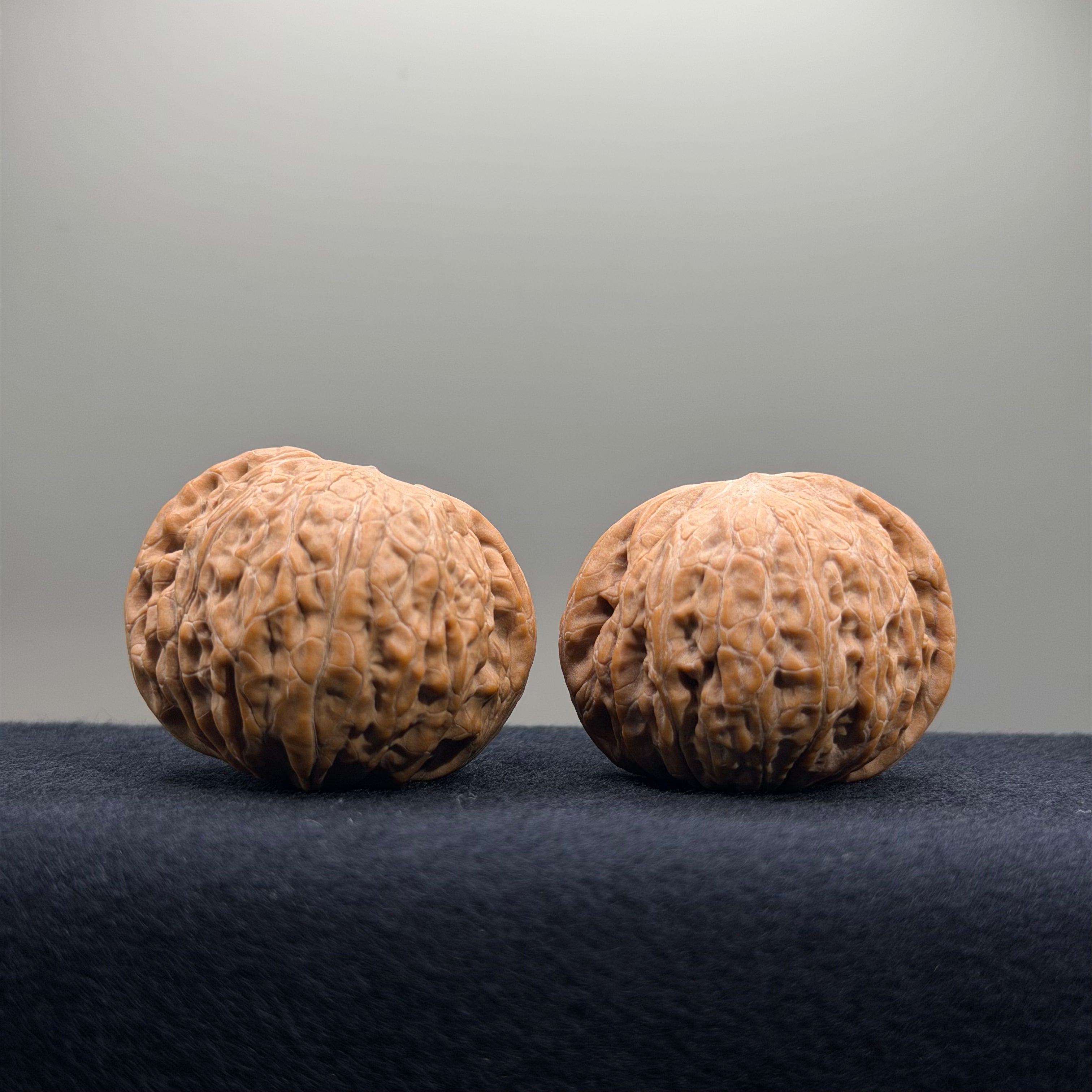 Iron Hammer Wenwan Walnut · 40.7/40.8mm · Natural · Premium Ritual