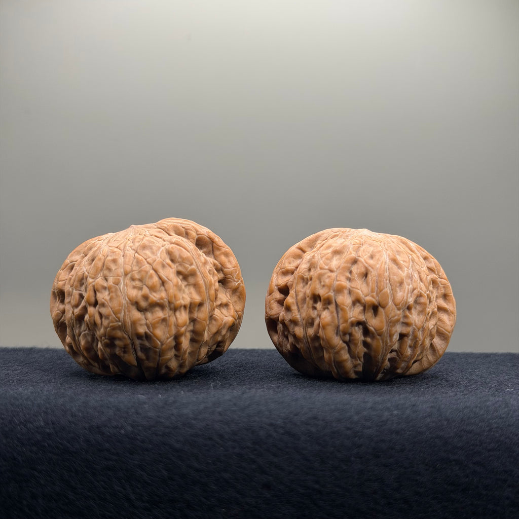 Iron Hammer Wenwan Walnut · 40.7/40.8mm · Natural · Premium Ritual
