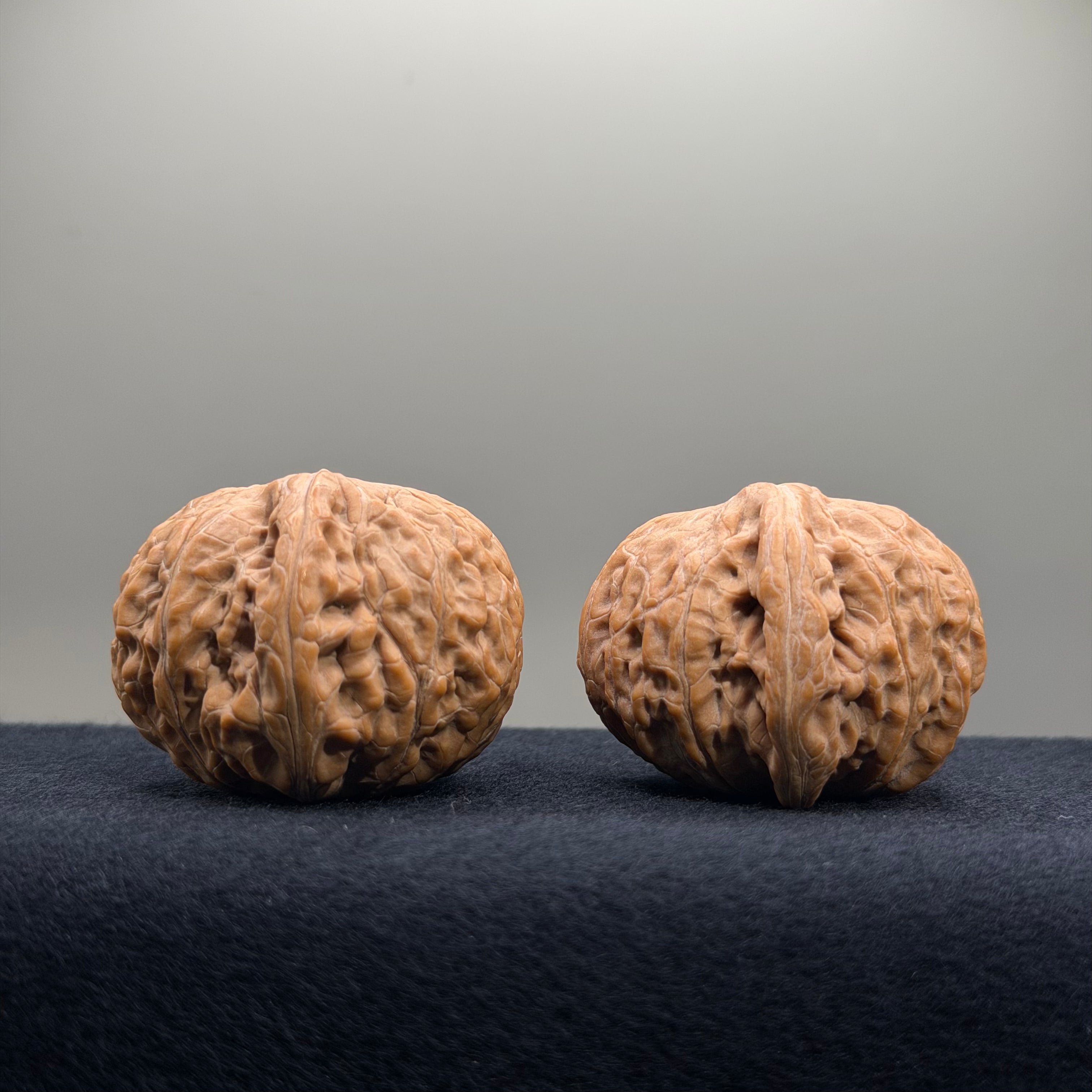 Iron Hammer Wenwan Walnut · 40.7/40.8mm · Natural · Premium Ritual