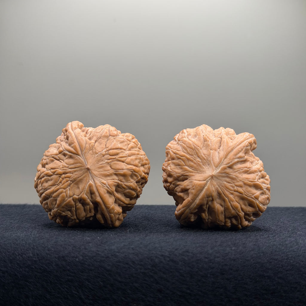 Iron Hammer Wenwan Walnut · 40.7/40.8mm · Natural · Premium Ritual