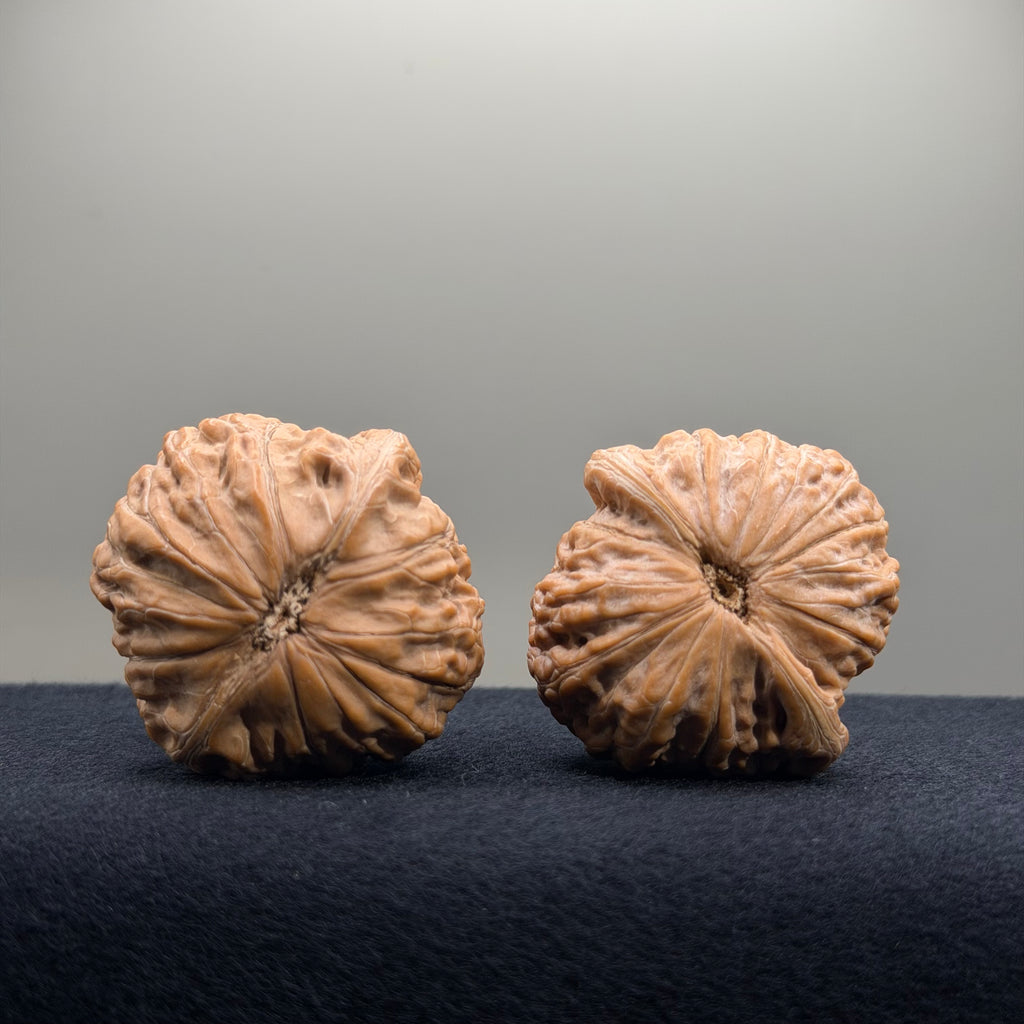 Iron Hammer Wenwan Walnut · 40.7/40.8mm · Natural · Premium Ritual