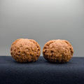 Hammerette Wenwan Walnut · 38/37.7mm · Natural · Premium Ritual