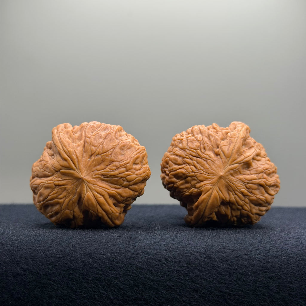Hammerette Wenwan Walnut · 38/37.7mm · Natural · Premium Ritual