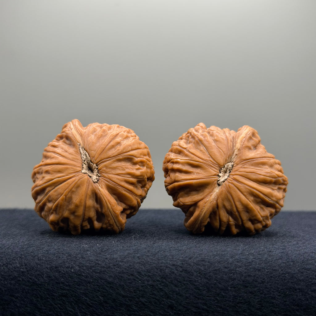 Hammerette Wenwan Walnut · 38/37.7mm · Natural · Premium Ritual