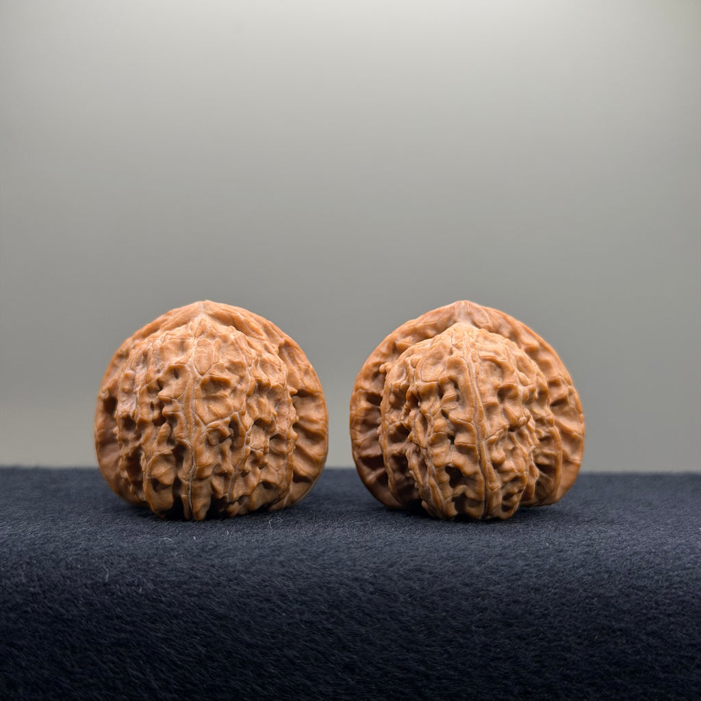 White Lion Wenwan Walnut · 34.6/34.5mm · Natural · Premium Ritual