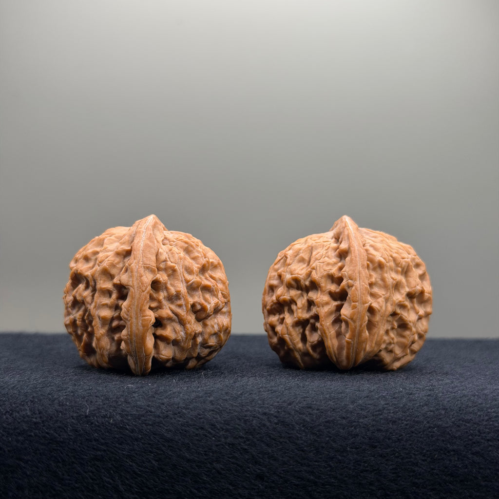 White Lion Wenwan Walnut · 34.6/34.5mm · Natural · Premium Ritual