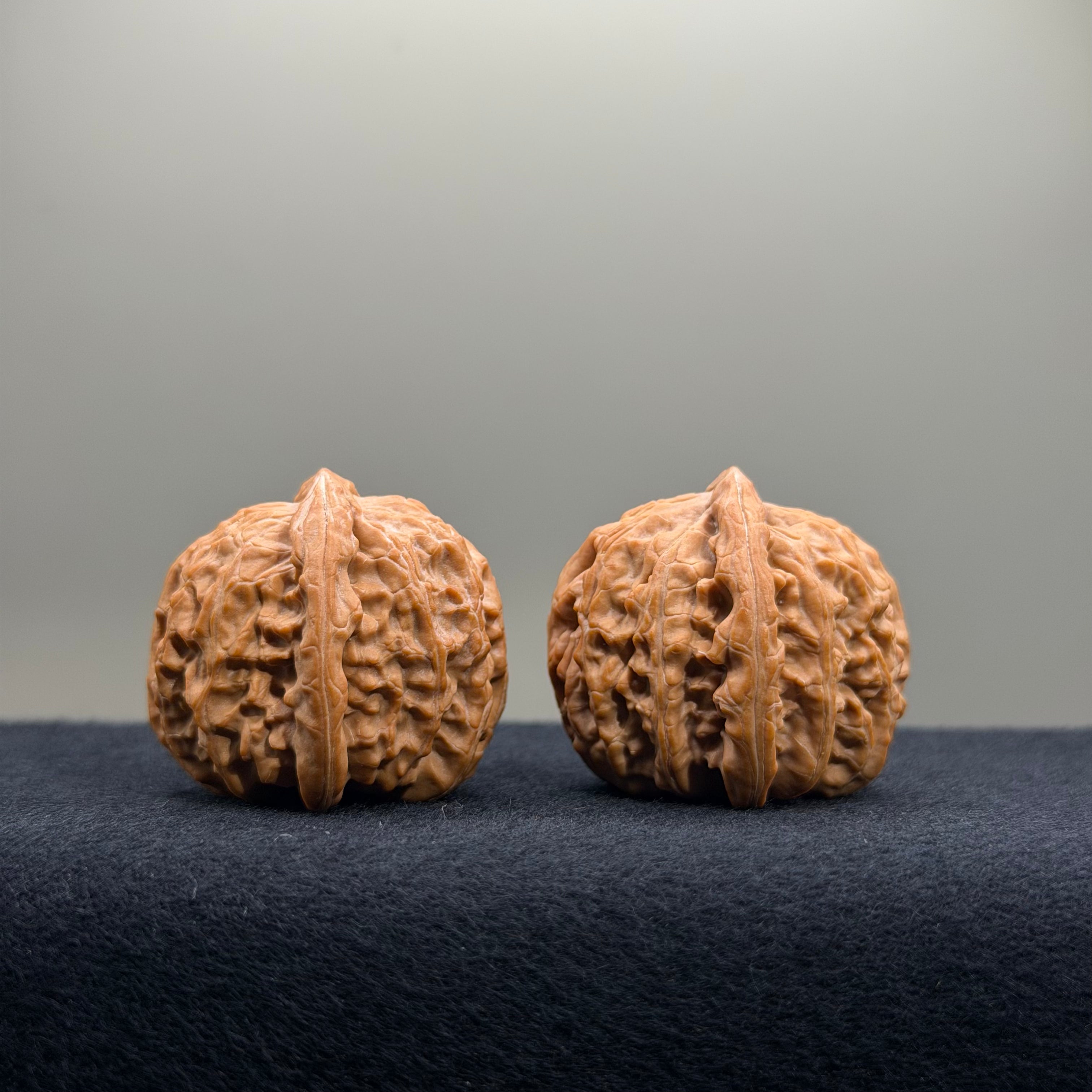 White Lion Wenwan Walnut · 34.6/34.5mm · Natural · Premium Ritual