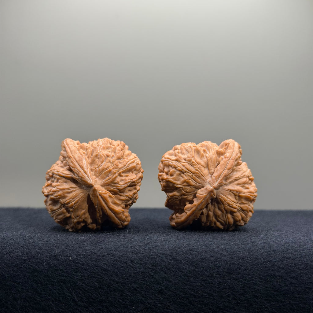 White Lion Wenwan Walnut · 34.6/34.5mm · Natural · Premium Ritual