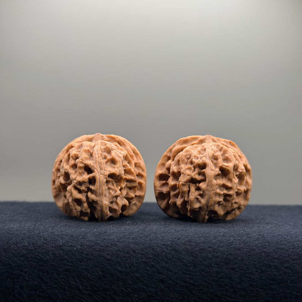 Apple Orchard Wenwan Walnut · 34mm · Natural · Select Ritual