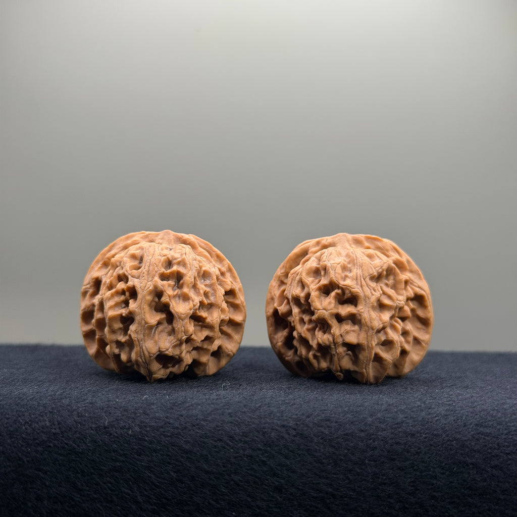 Apple Orchard Wenwan Walnut · 34mm · Natural · Select Ritual
