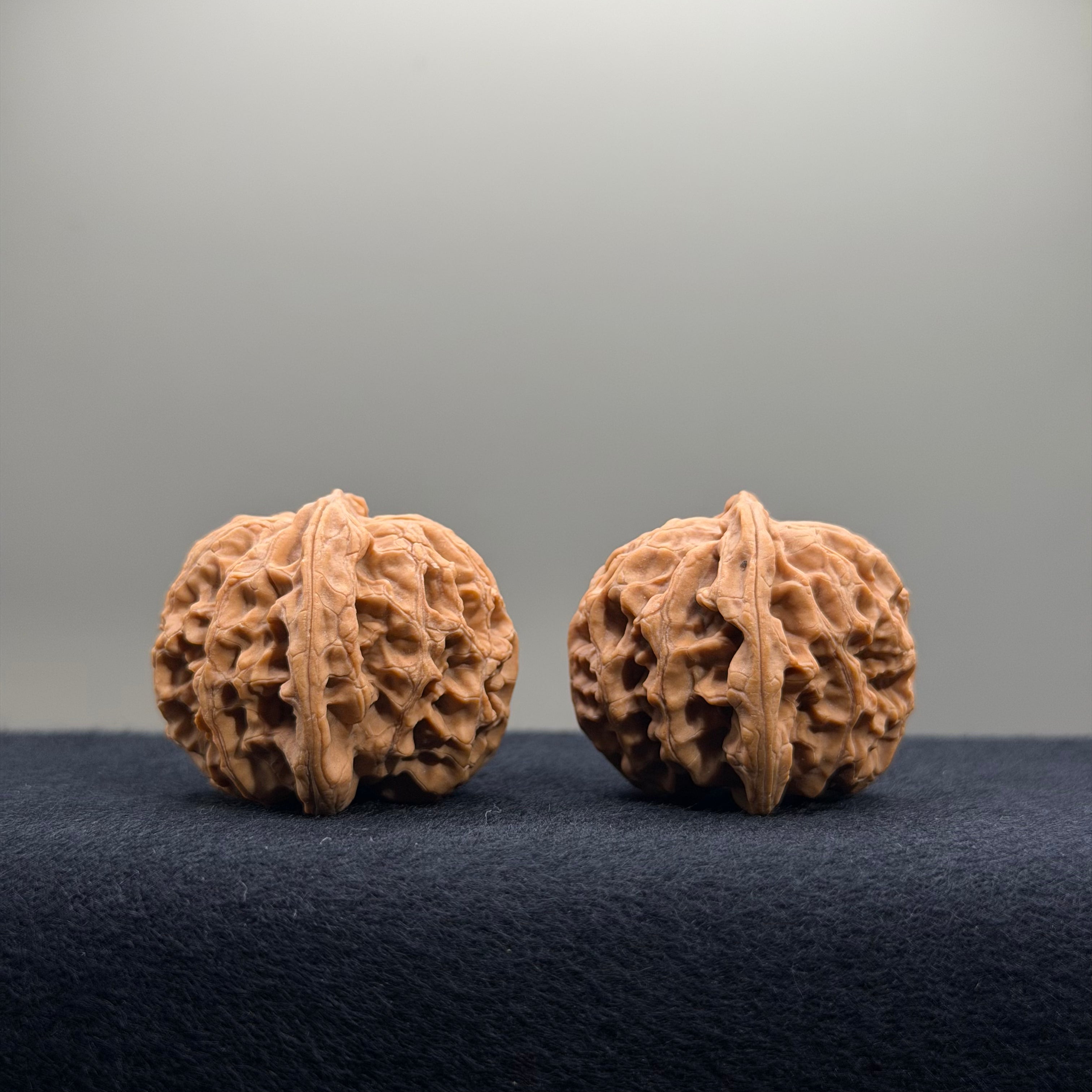 Apple Orchard Wenwan Walnut · 34mm · Natural · Select Ritual