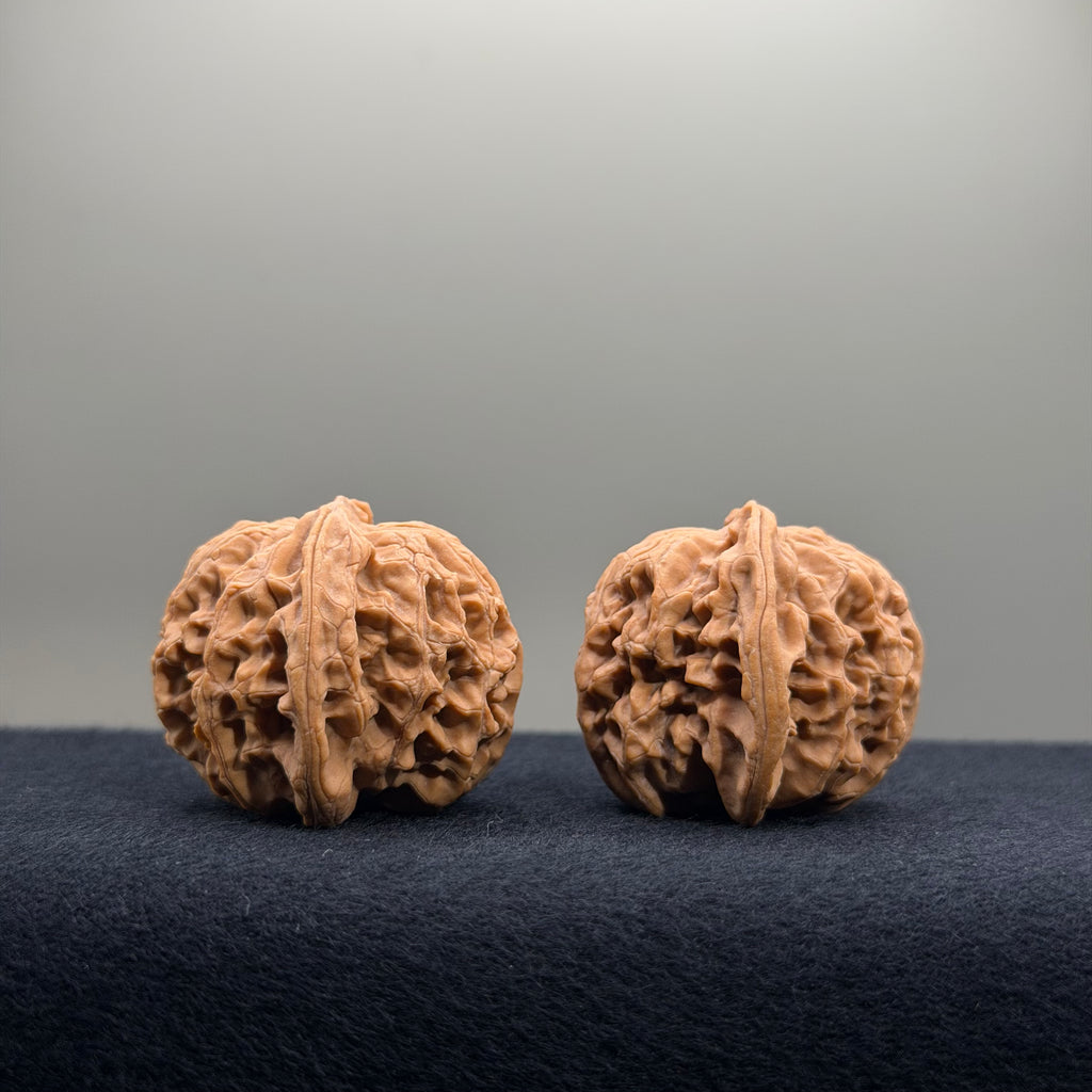 Apple Orchard Wenwan Walnut · 34mm · Natural · Select Ritual