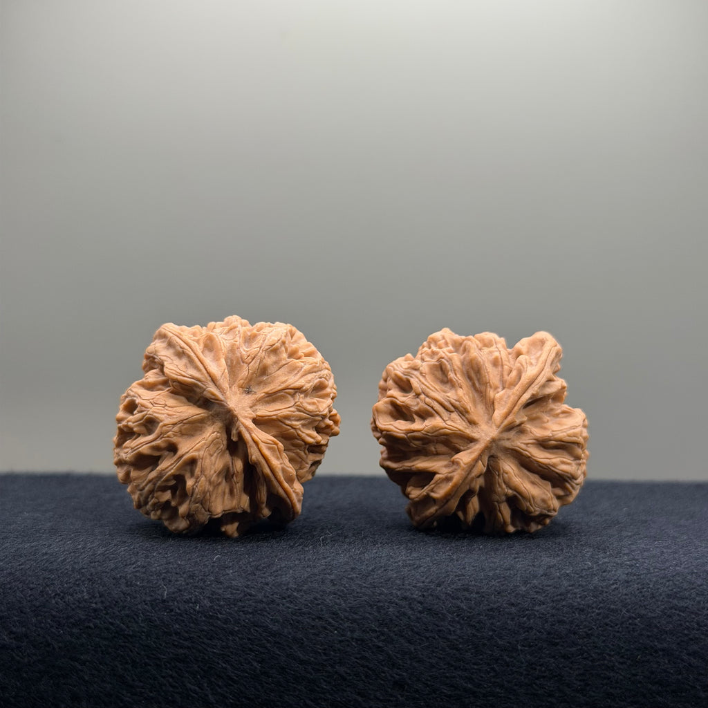 Apple Orchard Wenwan Walnut · 34mm · Natural · Select Ritual