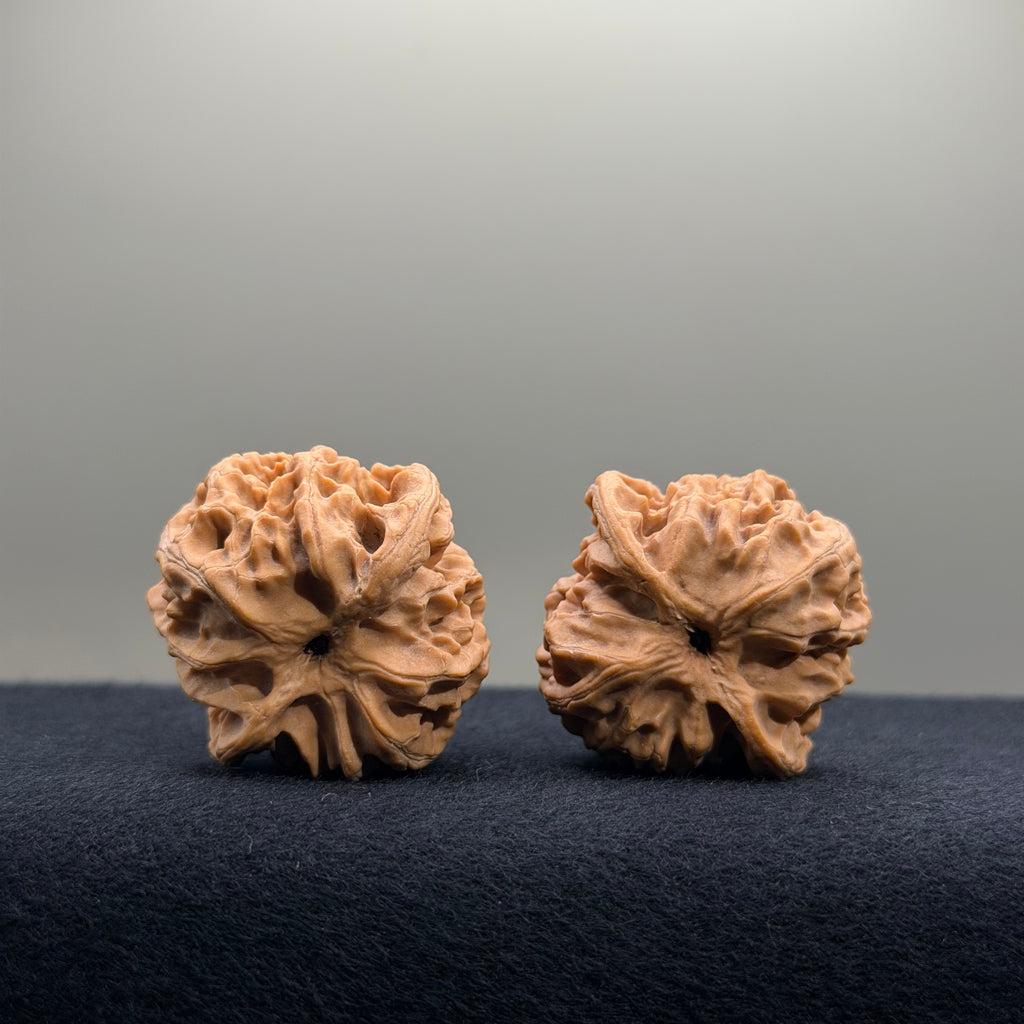 Apple Orchard Wenwan Walnut · 34mm · Natural · Select Ritual