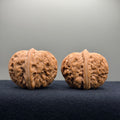 Ingot Wenwan Walnut · 37.5/37.3mm · Natural · Premium Ritual