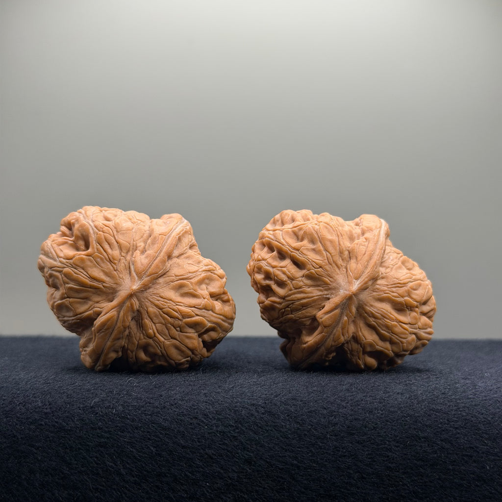 Ingot Wenwan Walnut · 37.5/37.3mm · Natural · Premium Ritual