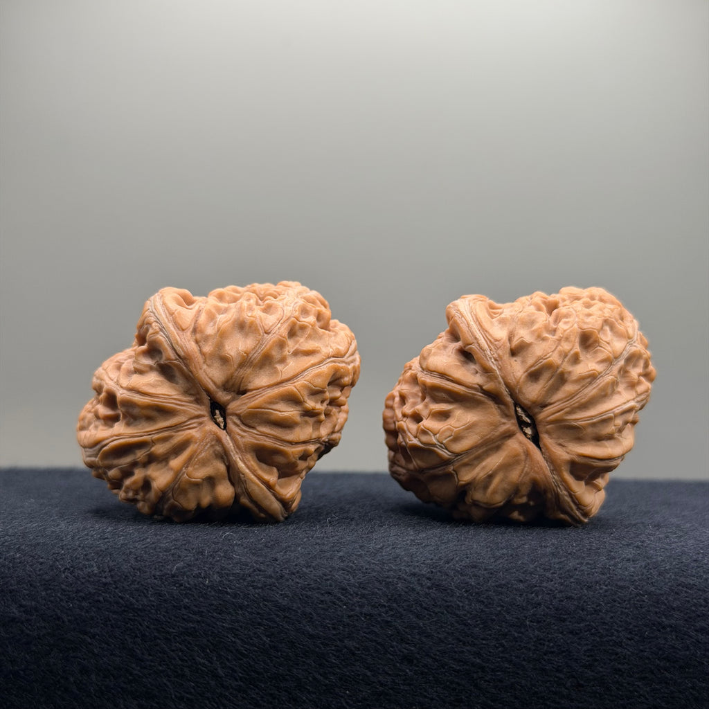 Ingot Wenwan Walnut · 37.5/37.3mm · Natural · Premium Ritual
