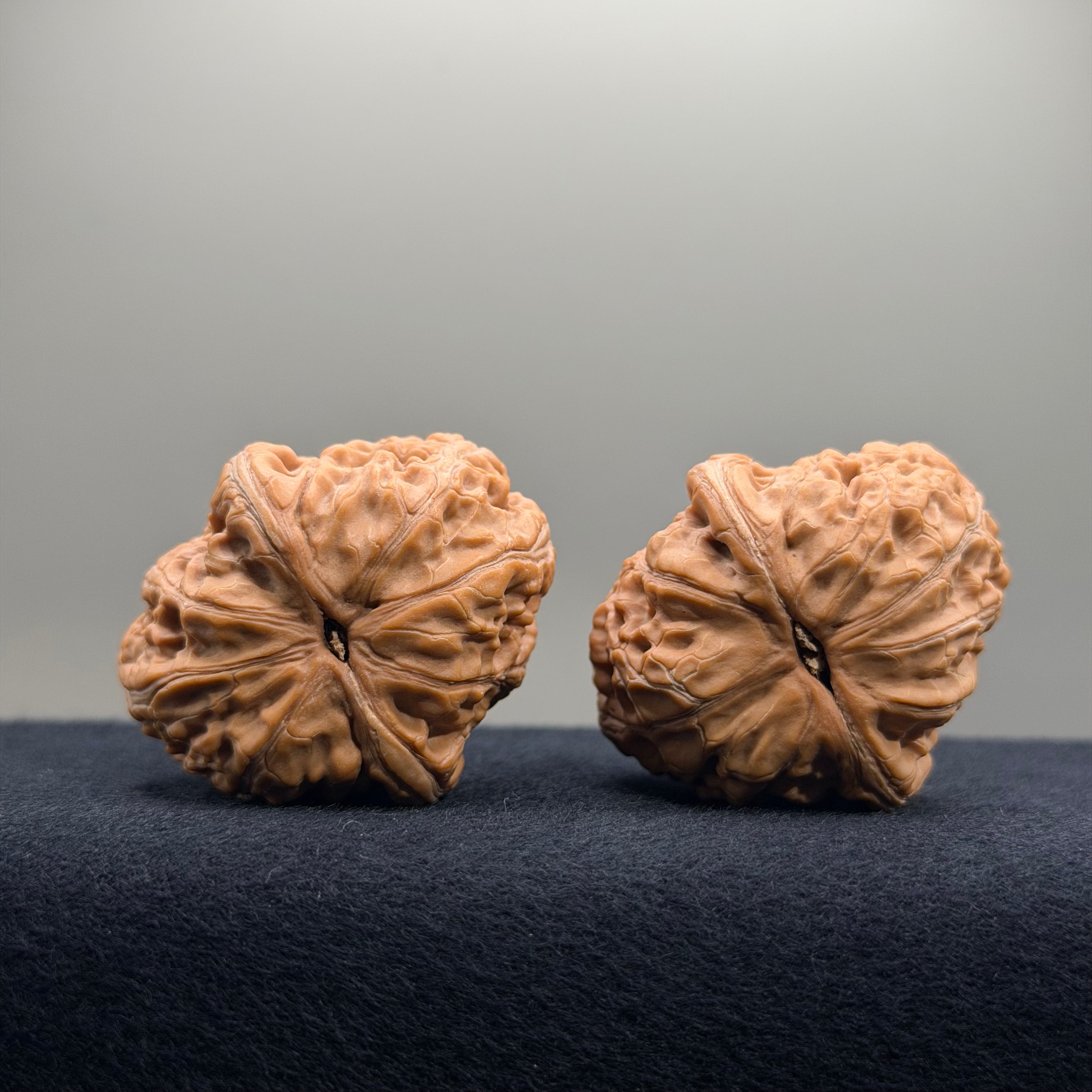Ingot Wenwan Walnut · 37.5/37.3mm · Natural · Premium Ritual