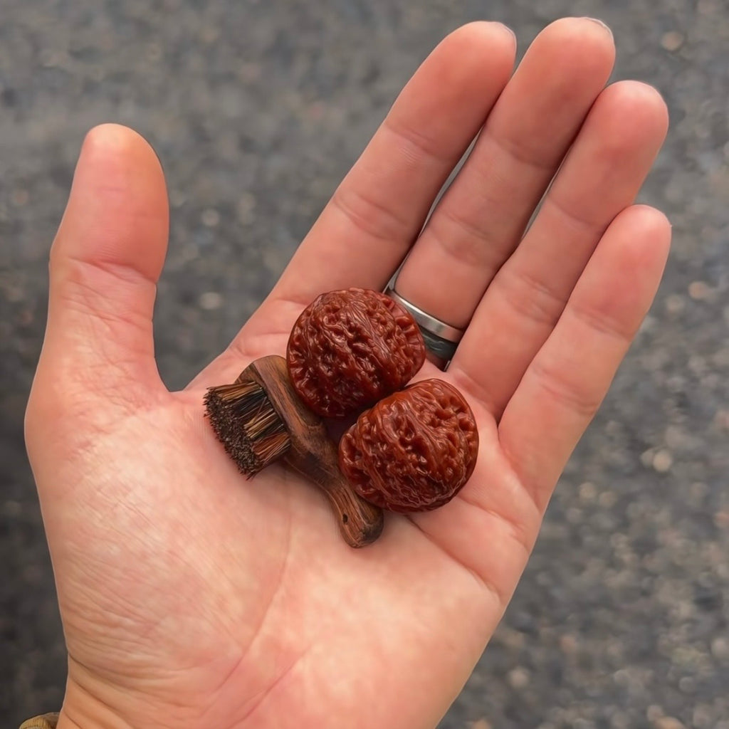 Mini Wenwan Walnut Display Brush