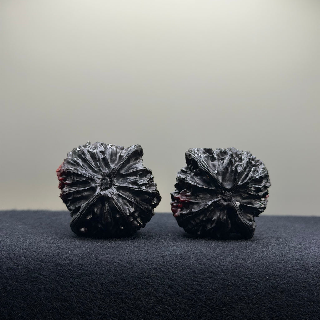 Ghost Rider Palace Lantern Wenwan Walnut · 37mm · Select Ritual