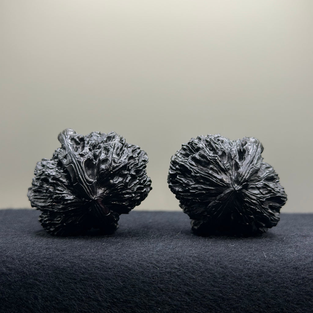 Ground Buried White Lion Wenwan Walnut · 35mm · Select Ritual