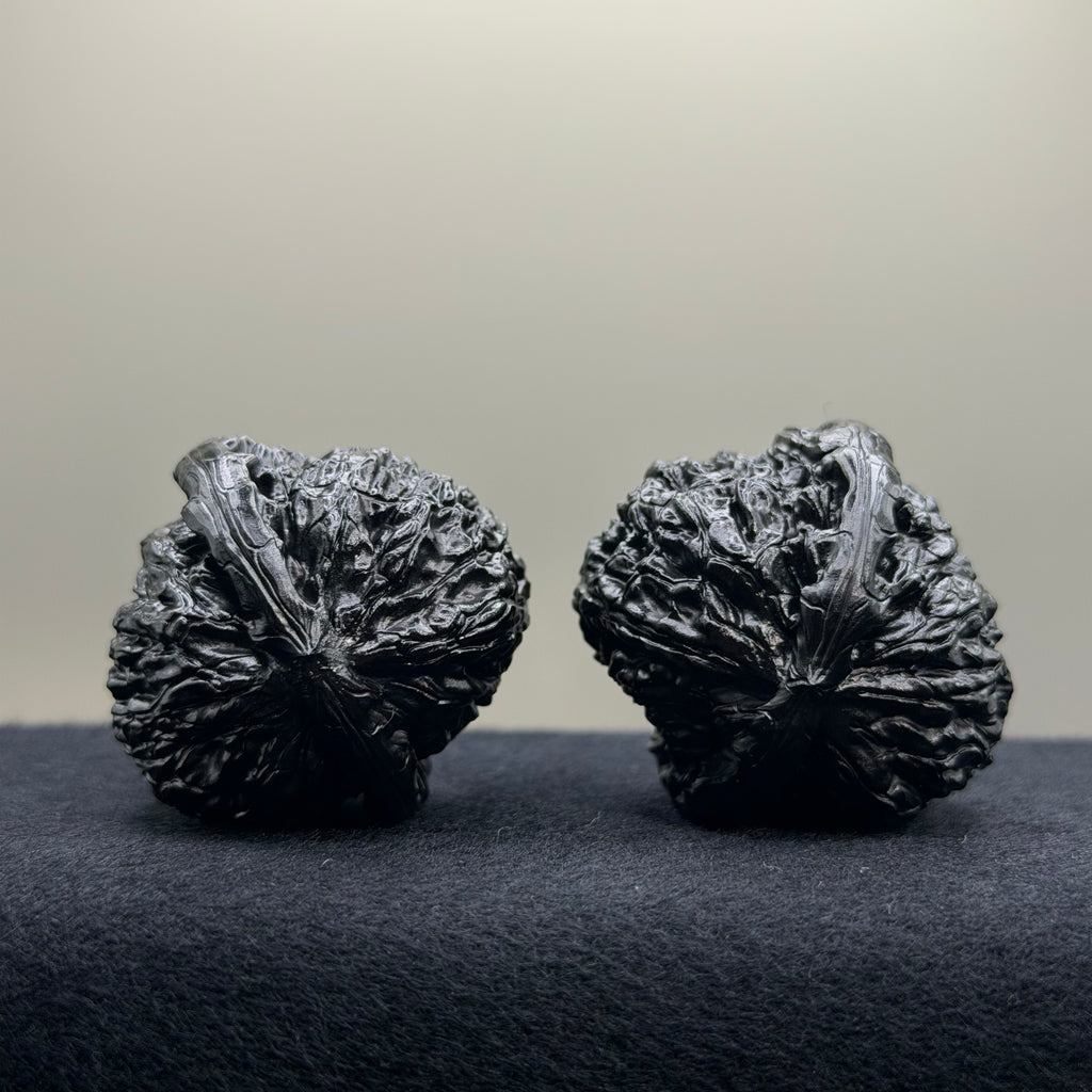 Ground Buried White Lion Wenwan Walnut · 38mm · Select Ritual