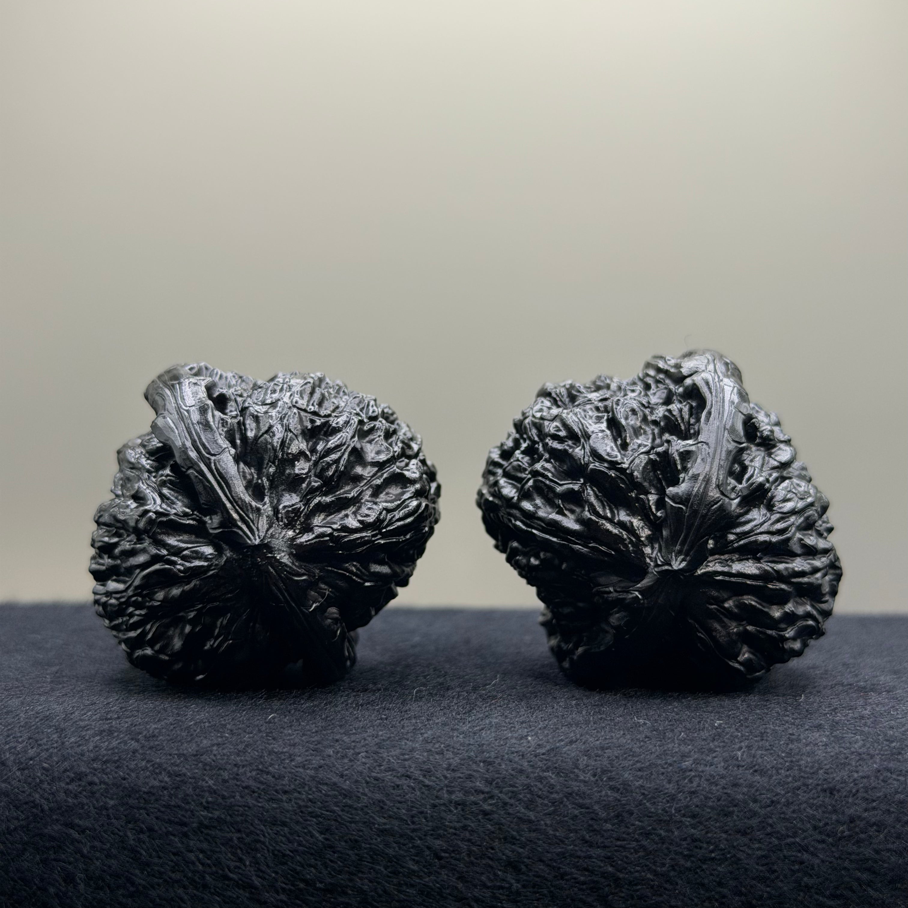 Ground Buried White Lion Wenwan Walnut · 38mm · Select Ritual