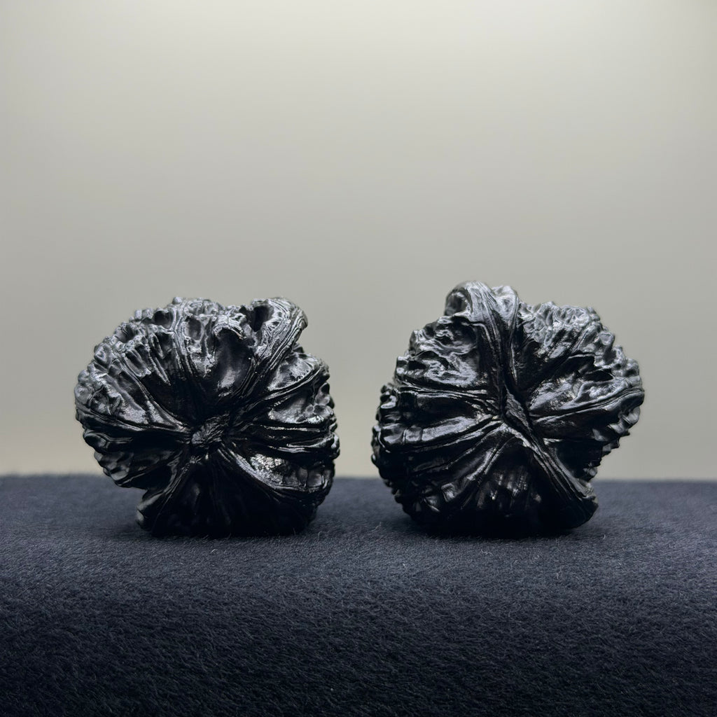 Ground Buried White Lion Wenwan Walnut · 38mm · Select Ritual
