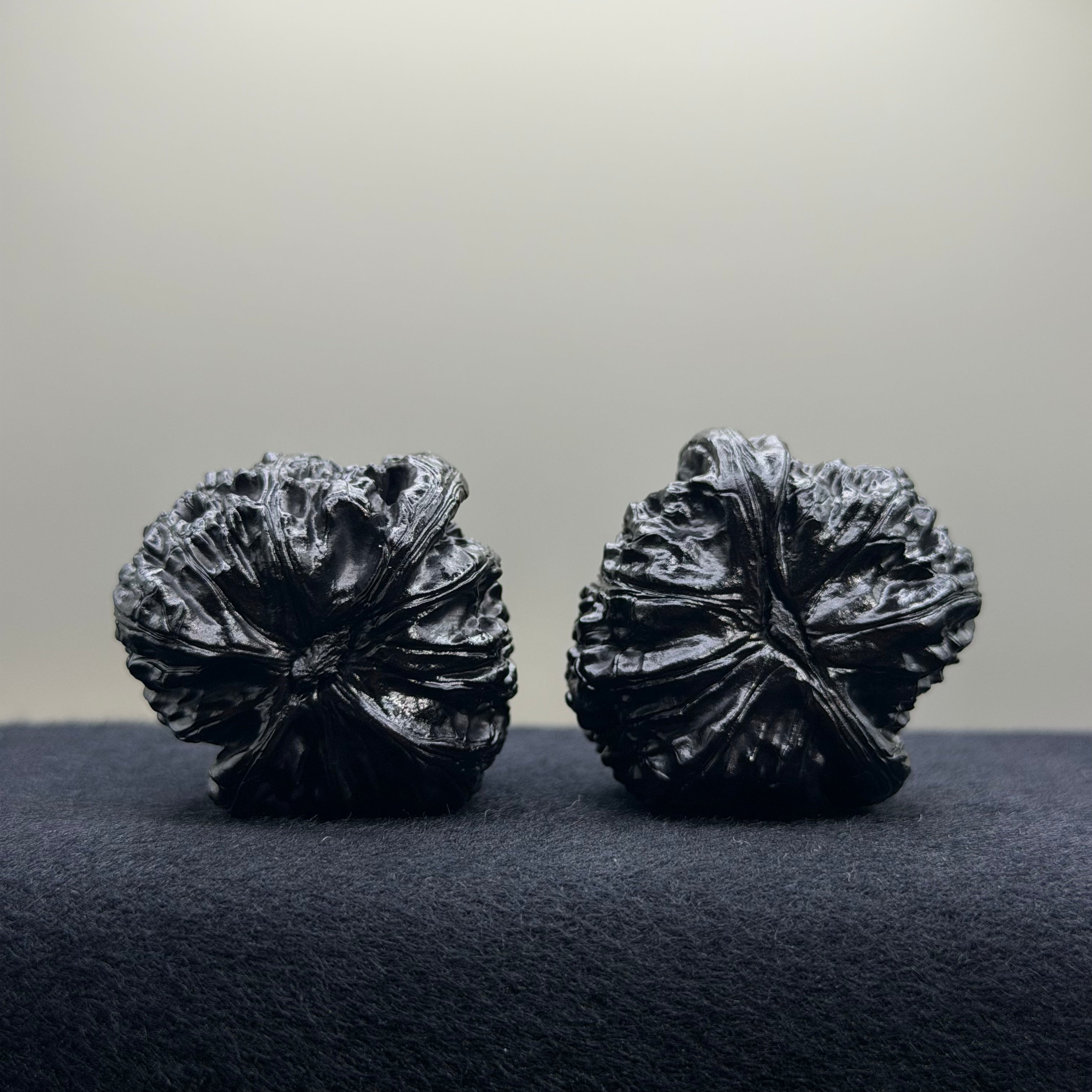 Ground Buried White Lion Wenwan Walnut · 38mm · Select Ritual