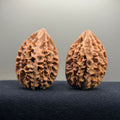 Fortune Rat Wenwan Walnut · 53mm · Natural · Select Ritual