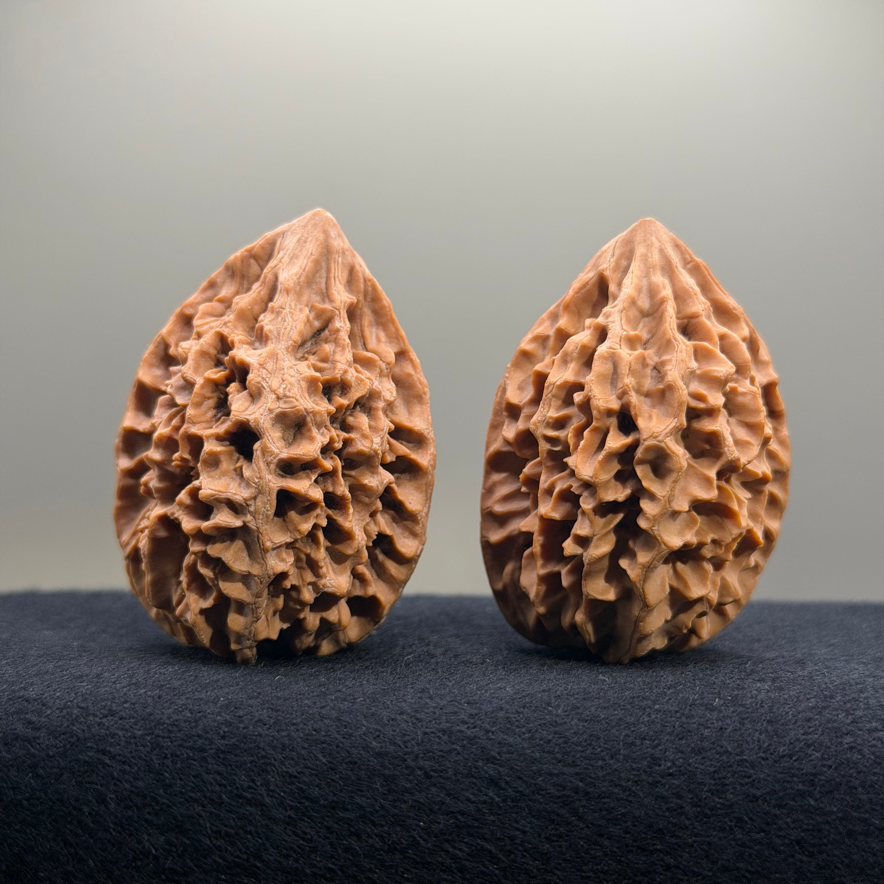Fortune Rat Wenwan Walnut · 53mm · Natural · Select Ritual