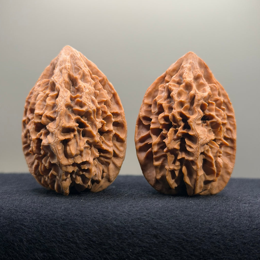 Fortune Rat Wenwan Walnut · 53mm · Natural · Select Ritual