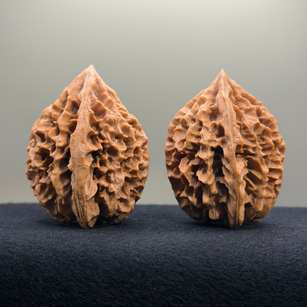 Fortune Rat Wenwan Walnut · 53mm · Natural · Select Ritual