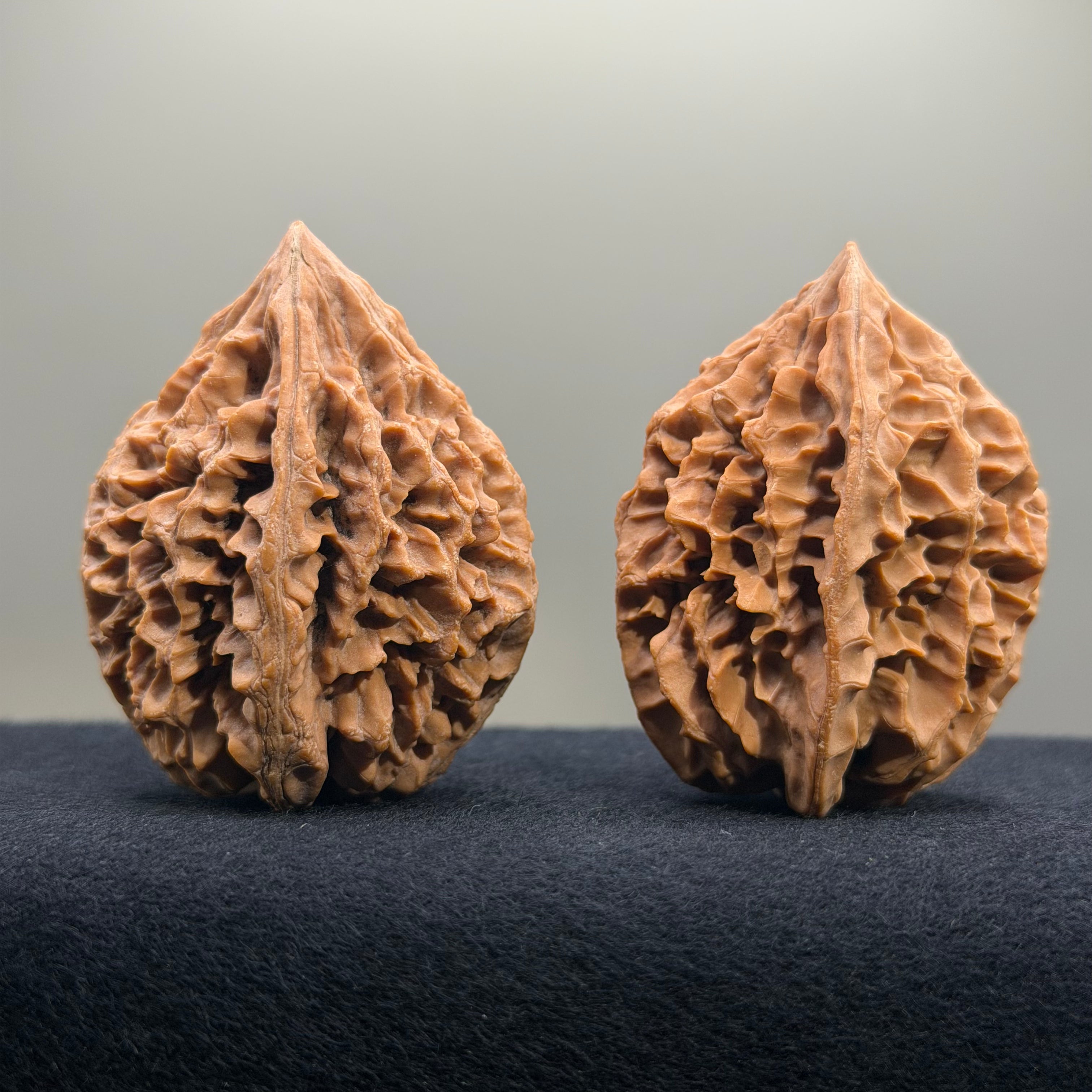 Fortune Rat Wenwan Walnut · 53mm · Natural · Select Ritual