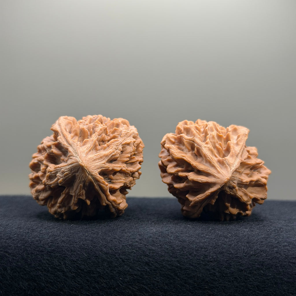 Fortune Rat Wenwan Walnut · 53mm · Natural · Select Ritual