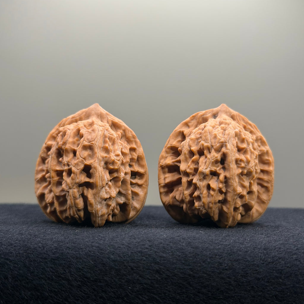 Coiled Dragon Tiger Head Wenwan Walnut · 37mm · Natural · Entry Ritual