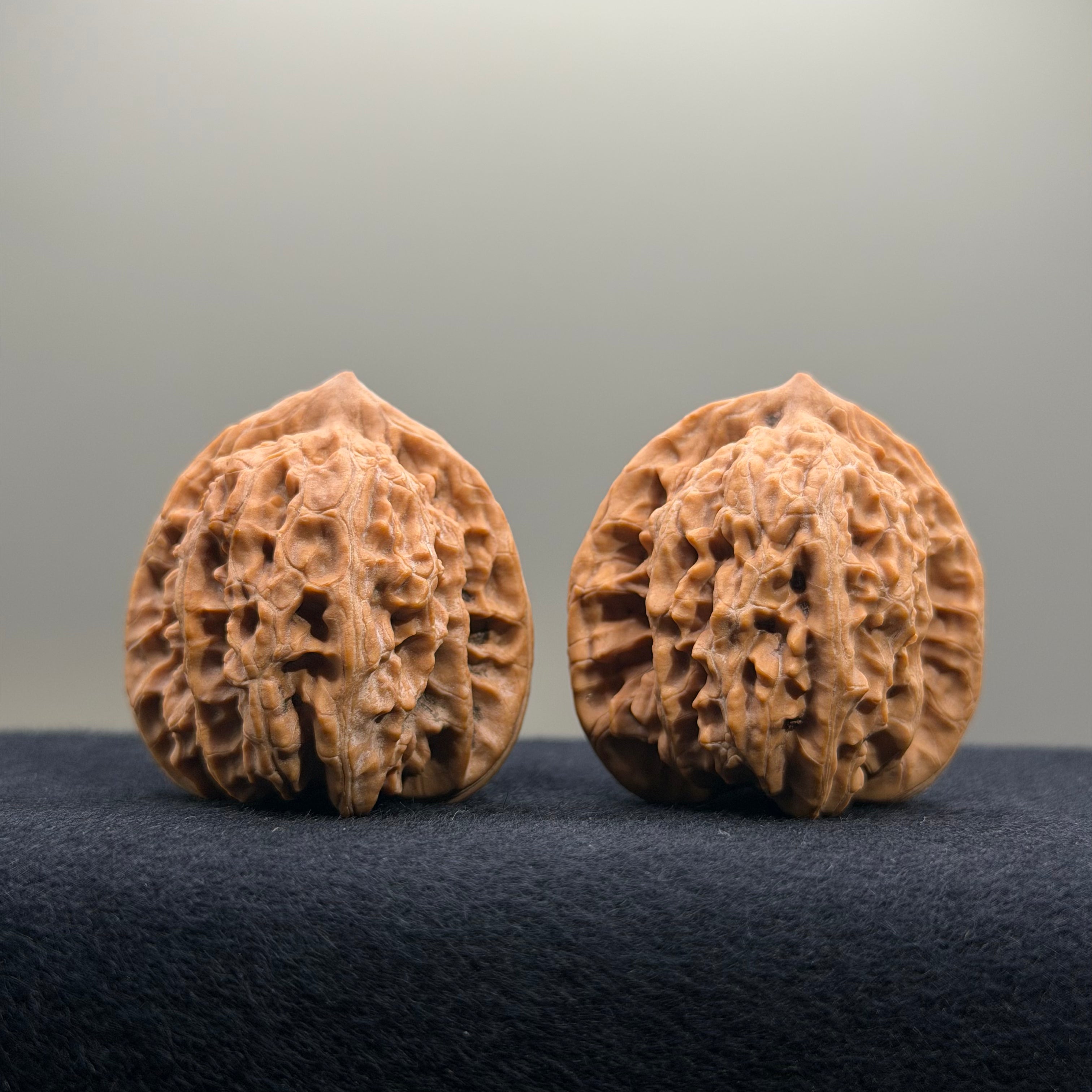 Coiled Dragon Tiger Head Wenwan Walnut · 37mm · Natural · Entry Ritual