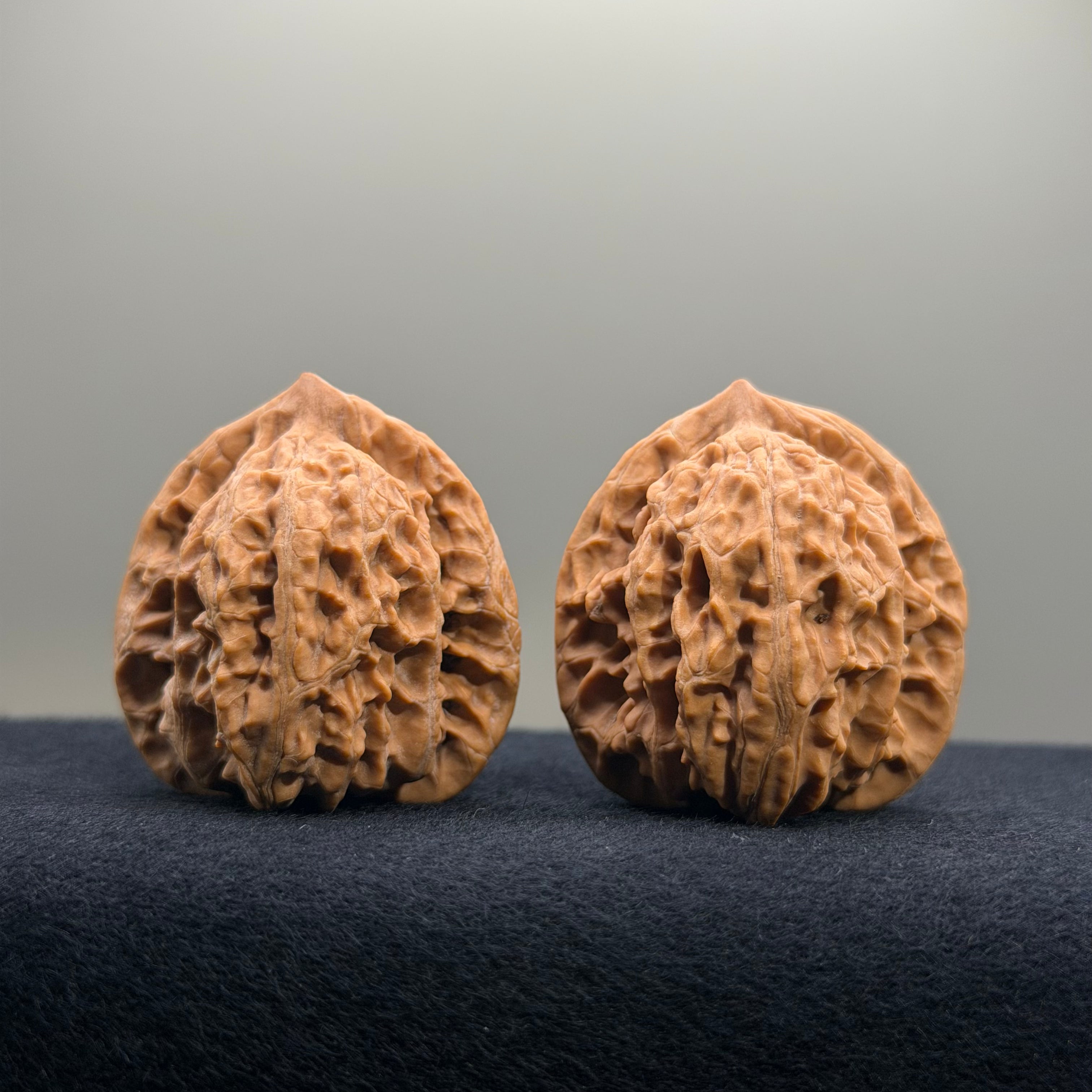 Coiled Dragon Tiger Head Wenwan Walnut · 37mm · Natural · Entry Ritual