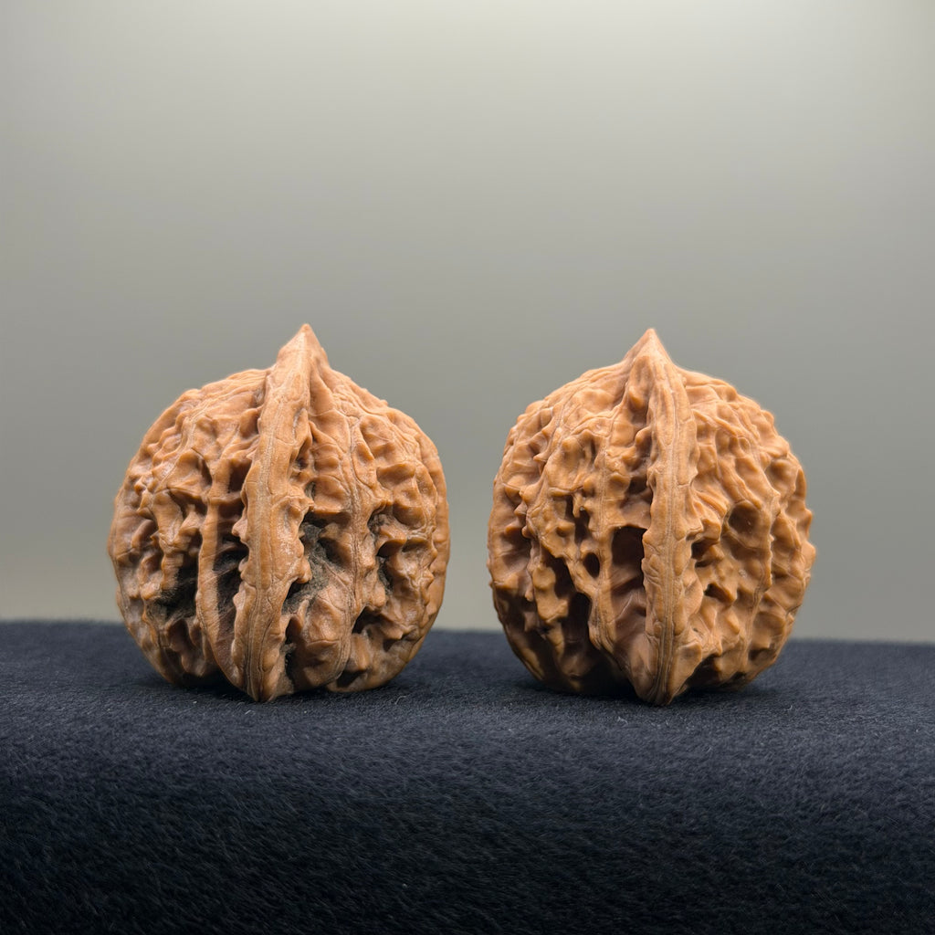 Coiled Dragon Tiger Head Wenwan Walnut · 37mm · Natural · Entry Ritual