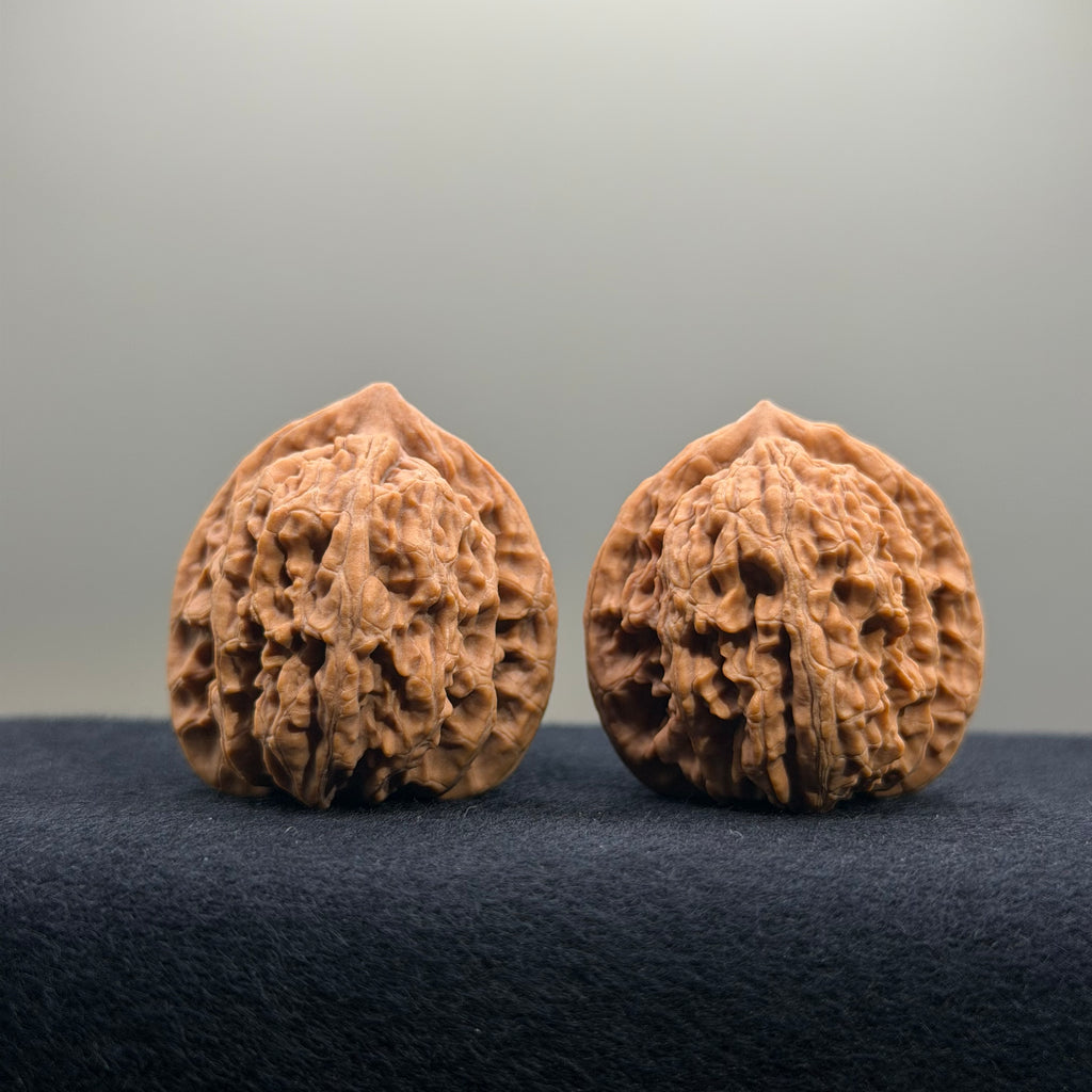 Coiled Dragon Tiger Head Wenwan Walnut · 35mm · Natural · Entry Ritual
