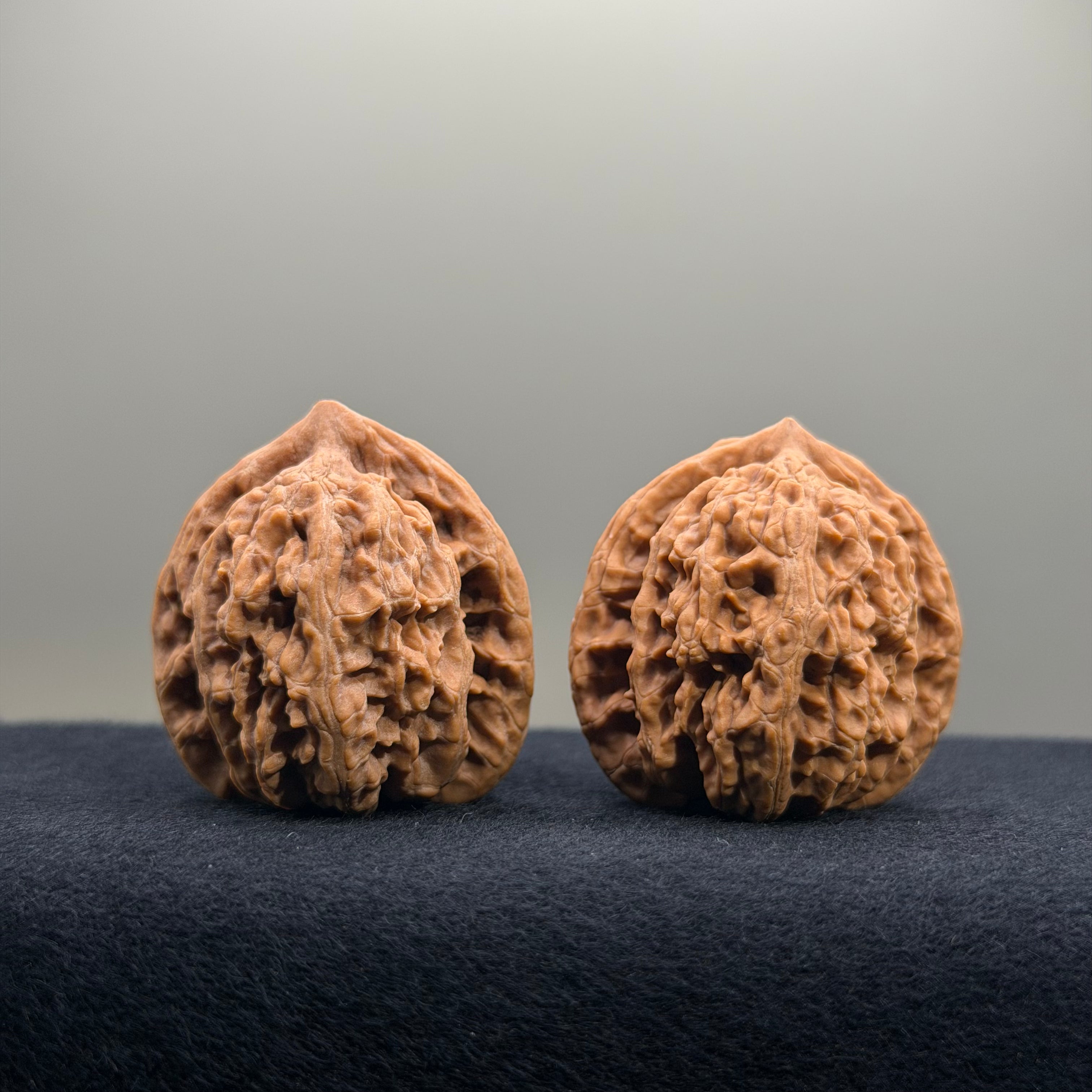 Coiled Dragon Tiger Head Wenwan Walnut · 35mm · Natural · Entry Ritual